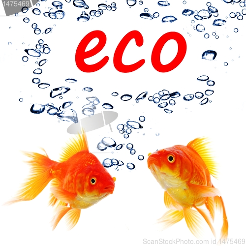 Image of eco