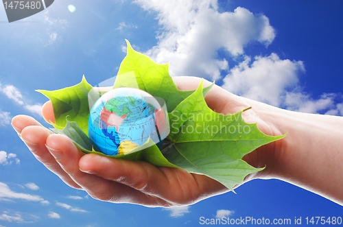 Image of hand holding globe