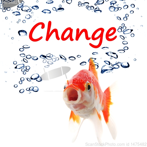 Image of change