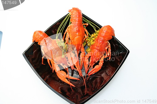Image of Crayfish on black