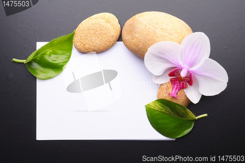 Image of zen or spa