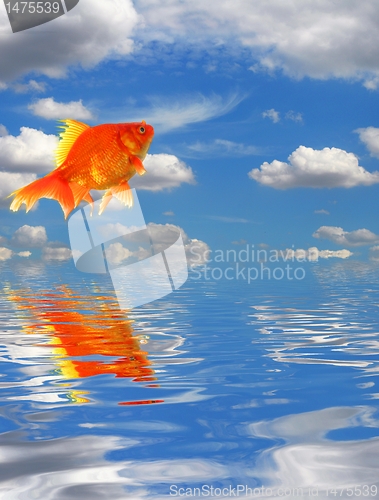 Image of blue sky and goldfish