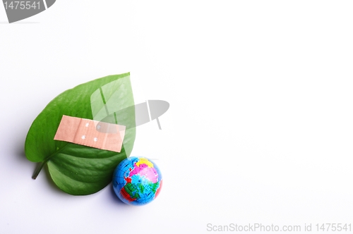 Image of ecology concept