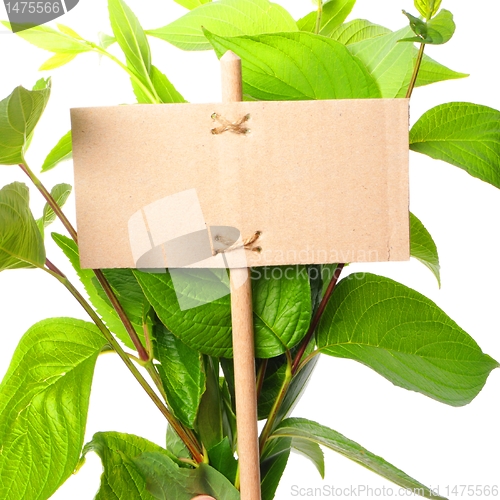 Image of empty sign