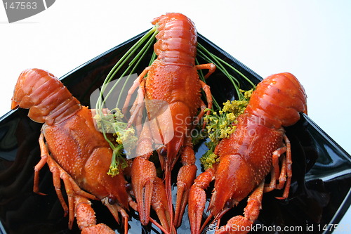 Image of Crayfish and dill