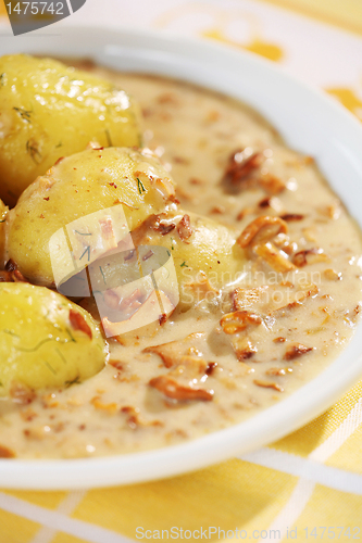 Image of boiled potatoes and chanterelles sauce