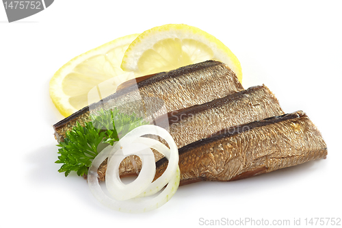 Image of sprats on white background