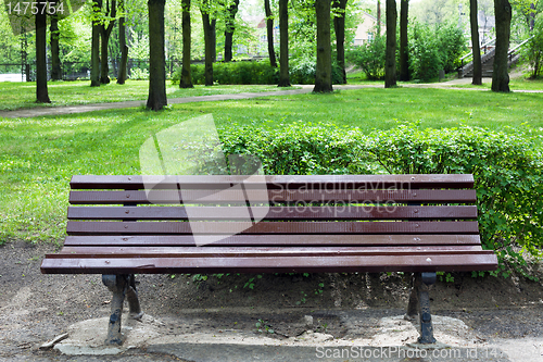 Image of wooden bench in old park