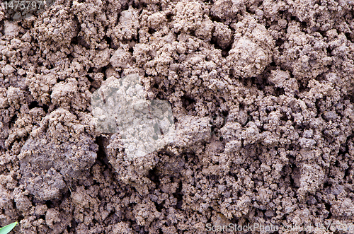 Image of Macro closeup of dirt ground background detail.