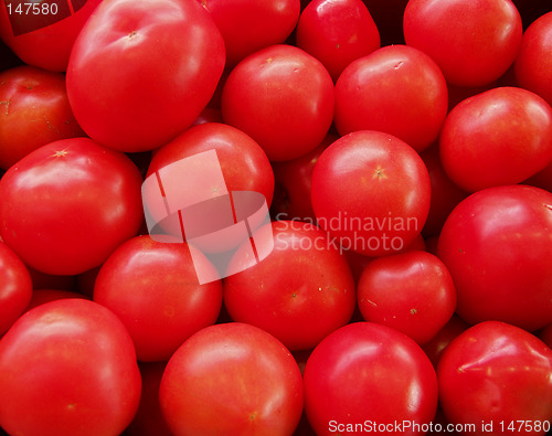 Image of Tomatoes