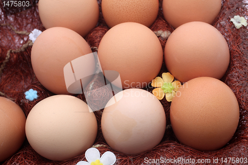 Image of Eggs