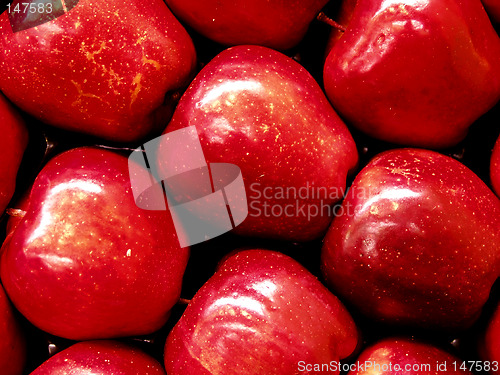 Image of Red Apples