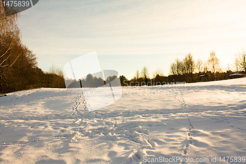 Image of Traces on snow