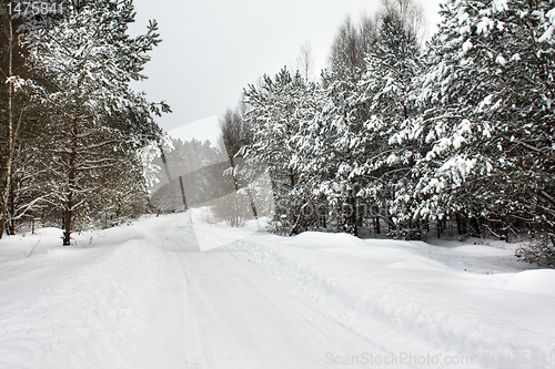 Image of Road to wood (winter)