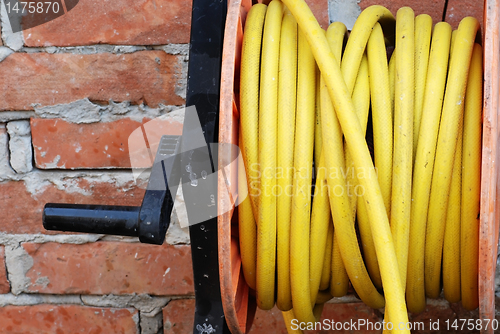 Image of Garden hose