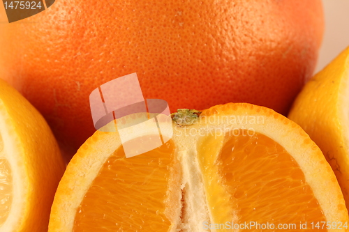 Image of citrus fruits