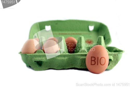 Image of bio eggs cut free