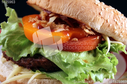 Image of american burger 