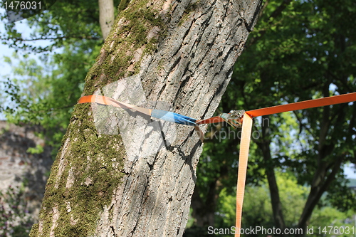 Image of slacklining