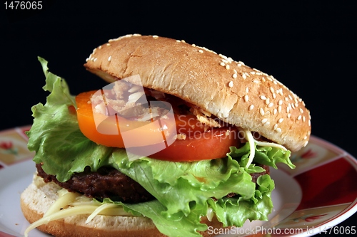 Image of american burger 