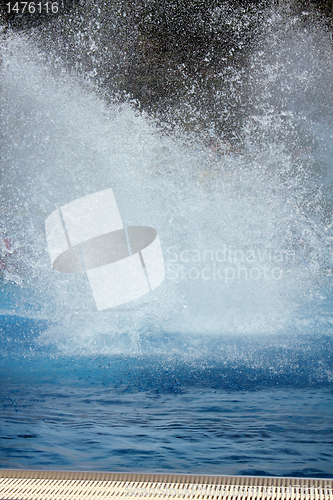 Image of jumping in the pool