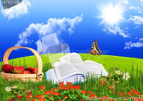 Image of summer day