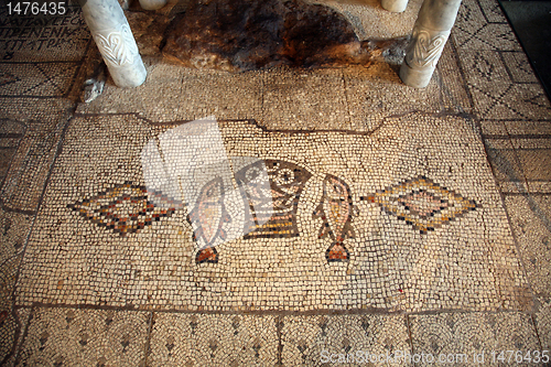 Image of Tabgha mosaic