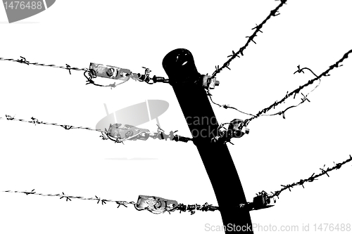 Image of shadow barb wire