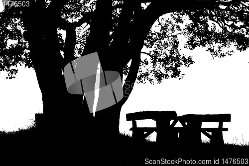 Image of the magic place shadow