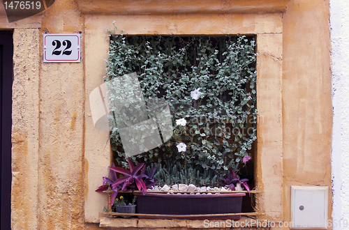Image of Window with flowers 