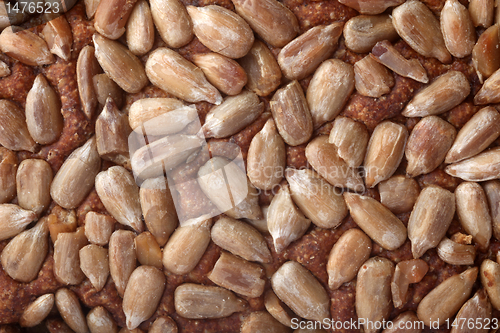 Image of Brown bread sunflower seeds texture