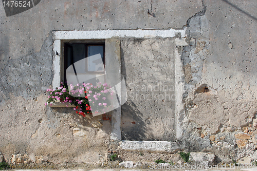 Image of Window with flowers