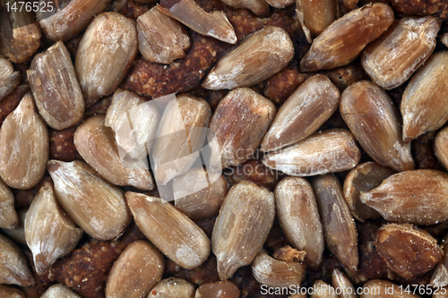Image of Brown bread sunflower seeds texture