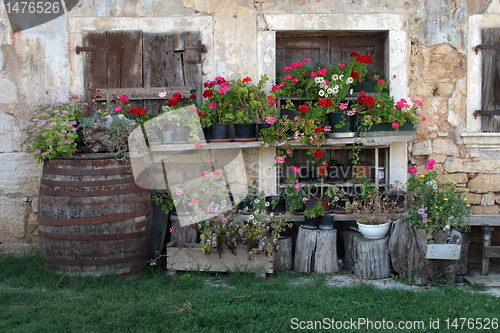 Image of Old house with flowers
