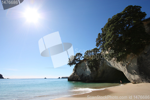 Image of New Zealand