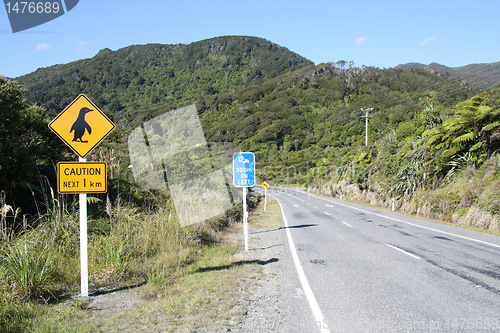 Image of New Zealand