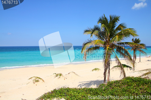 Image of Caribbean beach