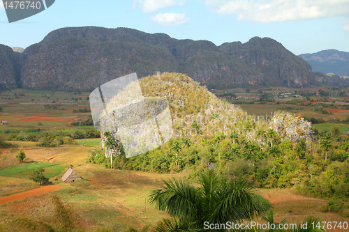 Image of Cuba - karstic landscape