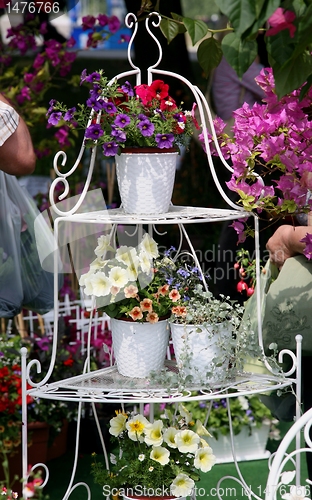 Image of flower pots