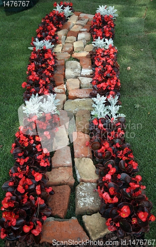 Image of flowers in garden