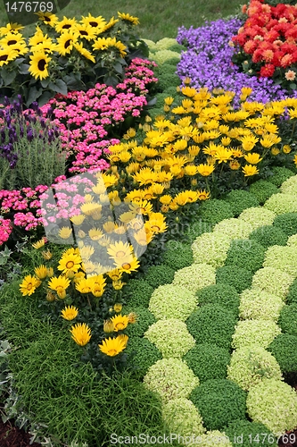 Image of flowers in garden