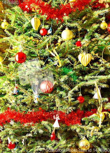 Image of Decorated Christmas Fir Tree 