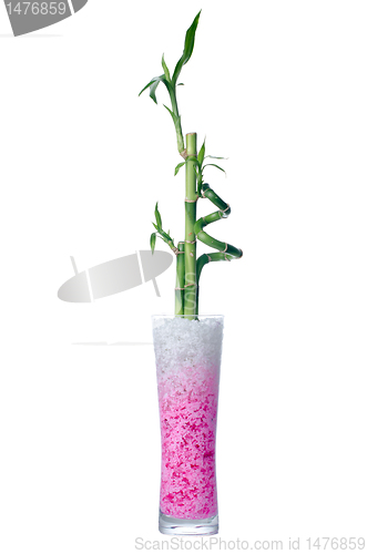 Image of Glass jar with bamboo 