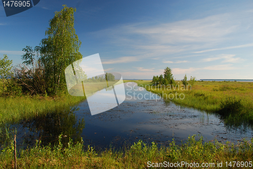 Image of Marshy cost of lake Oulujarvi at Manamansalo island, Finland