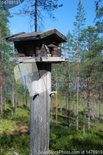 Image of Wooden rack for wild birds in Finnish forest