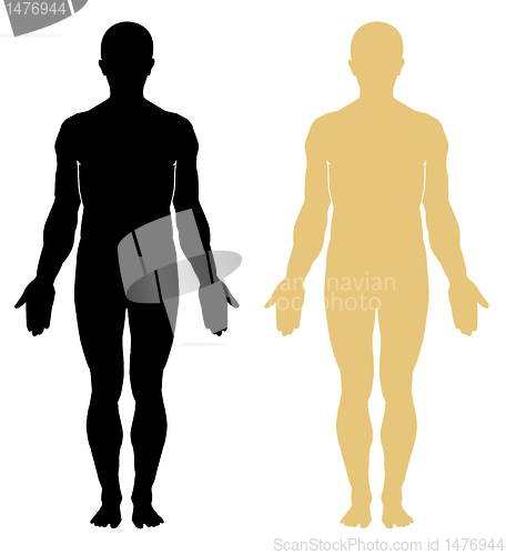 Image of Male body