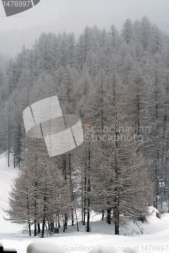 Image of Winter in Pragelato