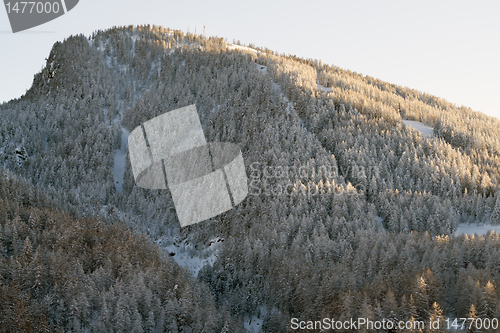 Image of Winter in Pragelato