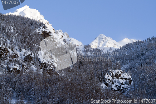 Image of Winter in Pragelato