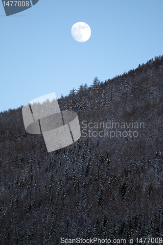 Image of Winter in Pragelato
